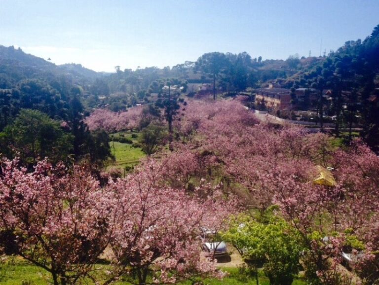 jardim-oriental-1-0800