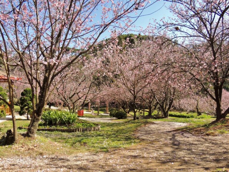 jardim-oriental-10-0800