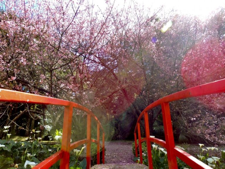 jardim-oriental-11-0800