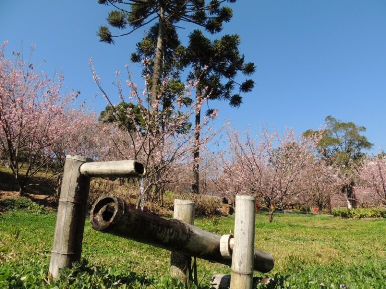 jardim-oriental-13-0800