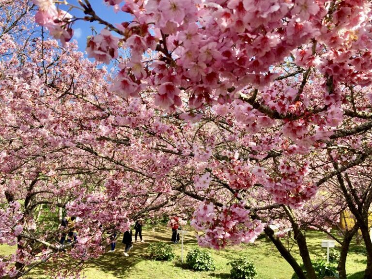 jardim-oriental-2-0800
