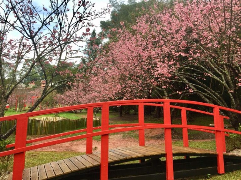jardim-oriental-4-0800