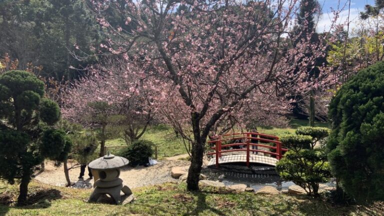 jardim-oriental-6-0800