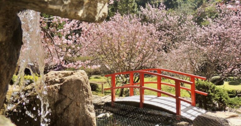 jardim-oriental-8-0800