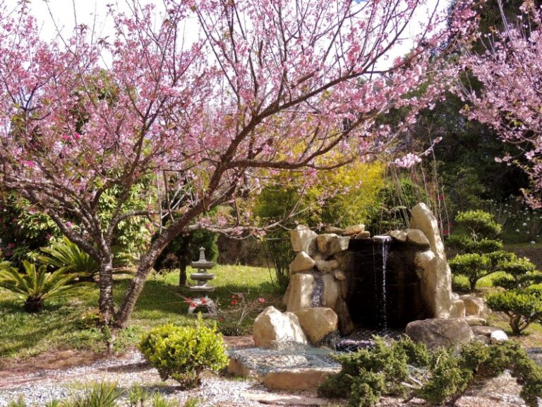 jardim-oriental-9-0800