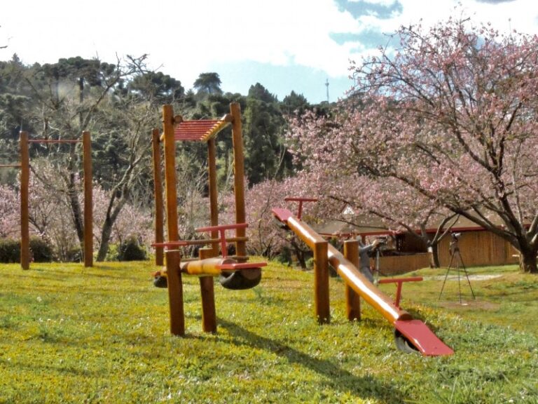 parquinho-infantil-1-0800
