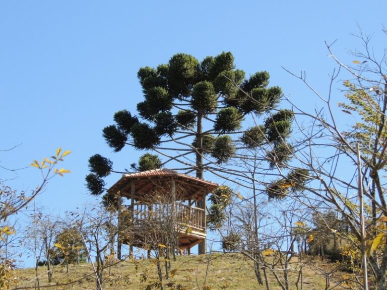 trilha-e-mirante-1-0800